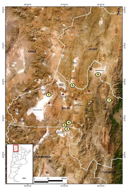 Mapa

El contenido generado por IA puede ser incorrecto.