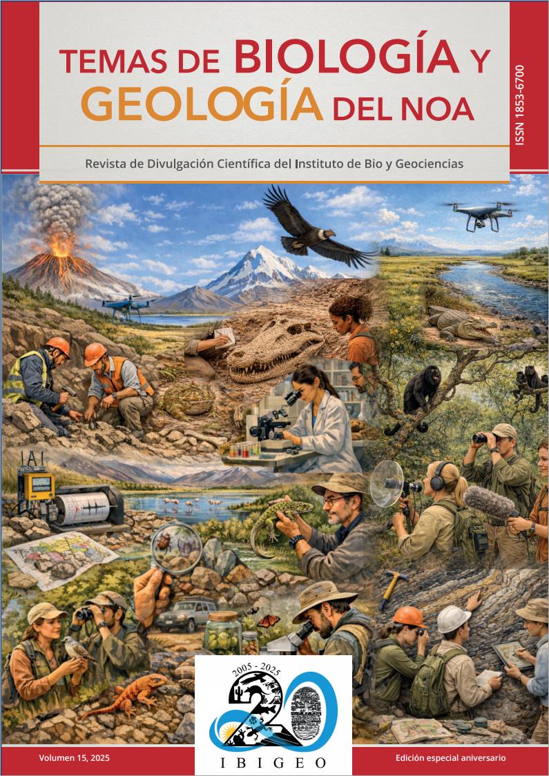 					Ver Vol. 15 (2025): Edición especial Aniversario - Diciembre 2025
				